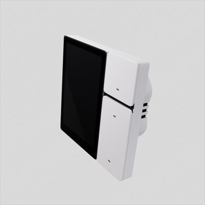 Hybrid Switch